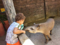 /album/fotogaleria-brazilie-zajezd-vy-a-my/brazilia-zajazd-00-50-jpg1/